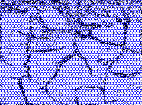 Hexagonal lattice overlayed on the B/W image