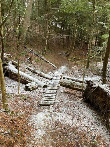 Photo of a snowy hiking trail