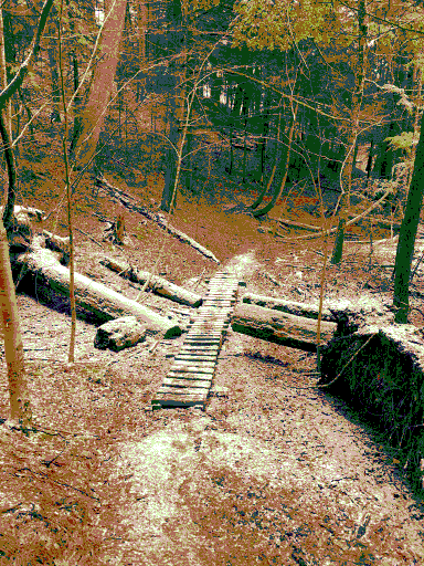 Hiking trail rendered in 32 colors by closest color conversion